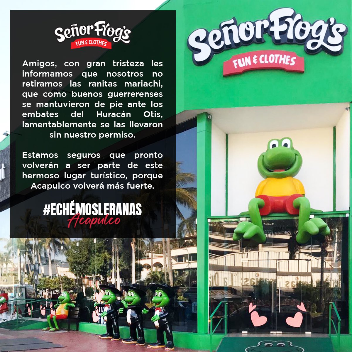 ¡Pronto volverán! #EchémosleRanas 🐸
#FuerzaAcapulco #señorfrogs #Acapulco #RanaDeAcapulco