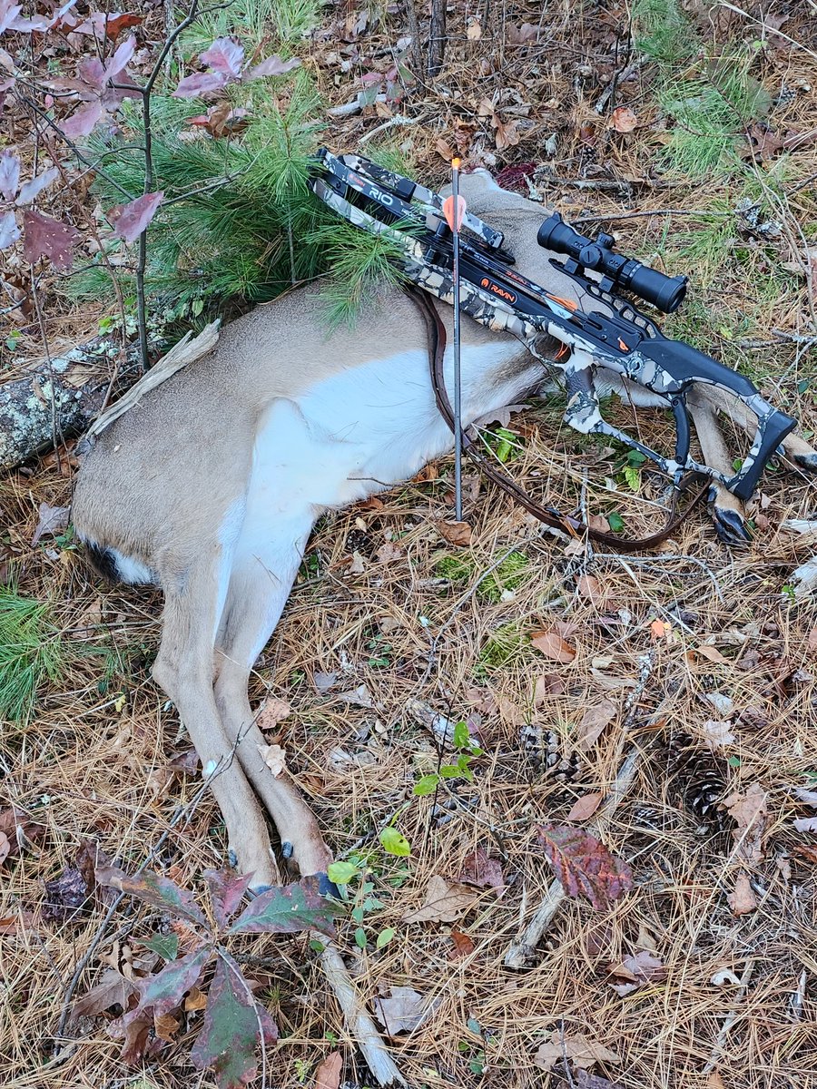 labedog's tweet photo. Venison in the freezer. @NukemHunting @gamedinner #whitetail #ItsWhatsForDinner https://t.co/yxfEt09tAL