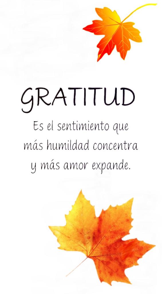 Paty_Ch28's tweet photo. @Helen3921f @SREBNeza https://t.co/rYFiuXhczp