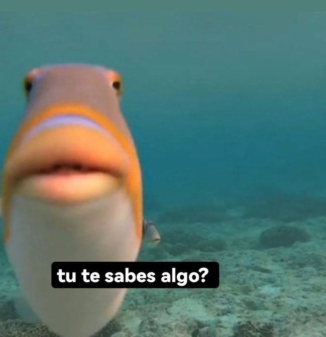 yo la noche d antes del examen a mi mejor amigo: