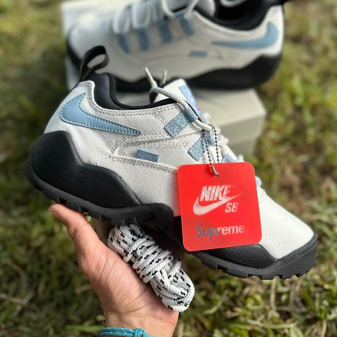 Nike air cheap darwin low