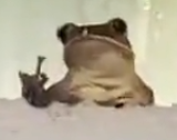 FatGamerHoe's tweet photo. https://t.co/o2uTtss963