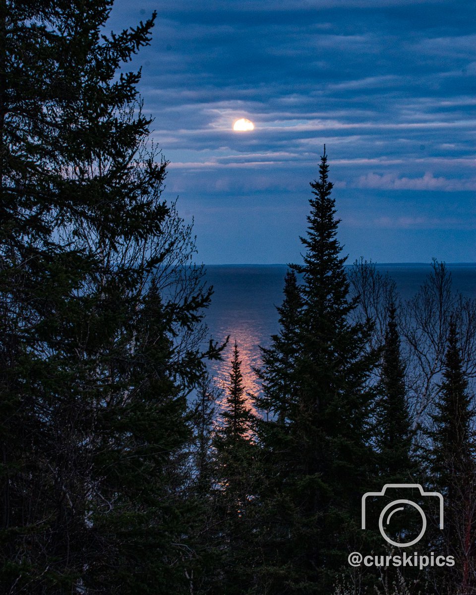 CurskiPics's tweet image. ART SALE THIS WEEKEND!!

We&apos;re excited to be a part of @NemaaMN Fall Open Studios this weekend.  We&apos;ll be a guest artist in the Grain Belt Bottling House!

Friday 5-8pm
Saturday Noon-8pm
Sunday Noon-4pm

More information here - nemaa.org/events/fall-op… 

#fallopenstudios #pentax