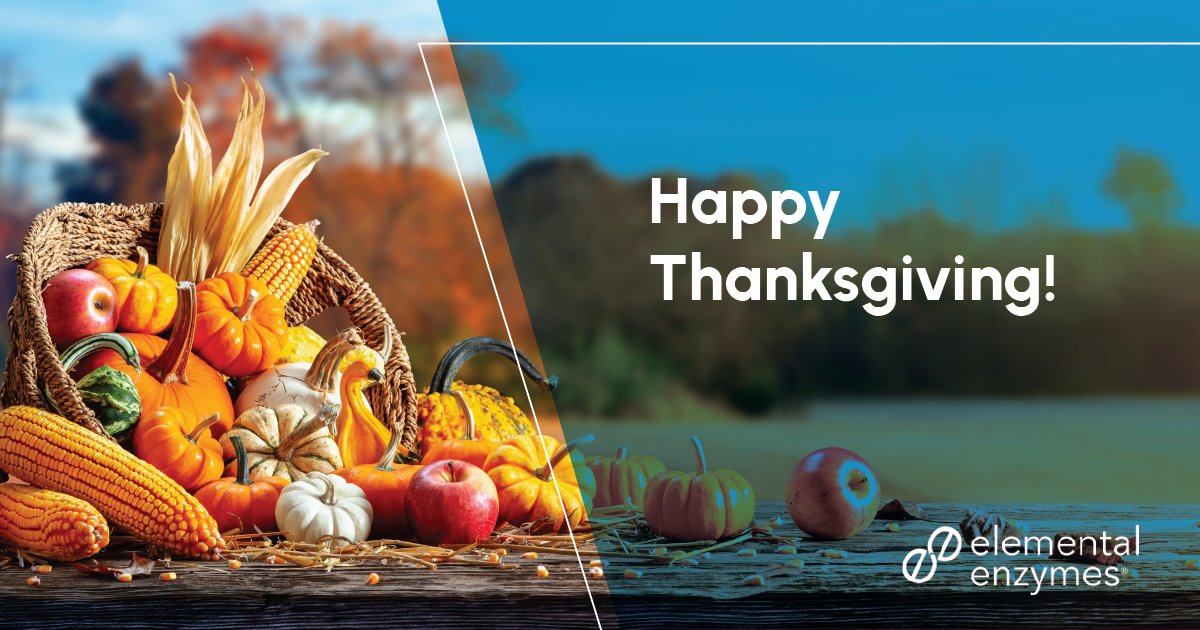 Elemental Enzymes tweet media