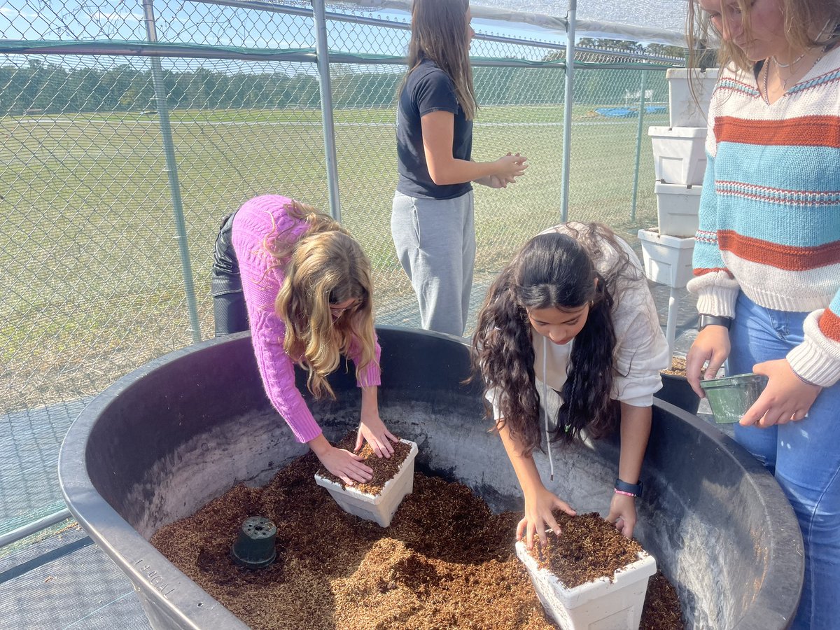 Christopher Roy tweet media