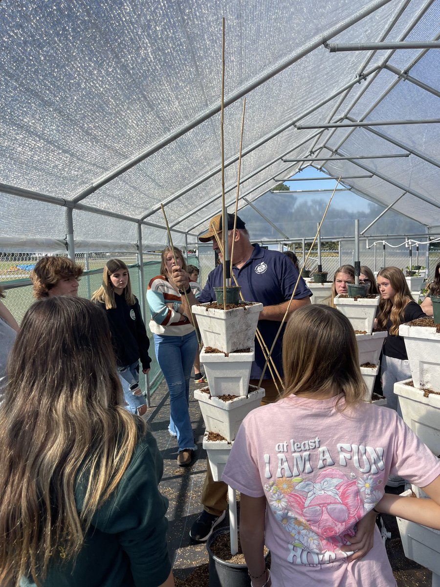 Christopher Roy tweet media