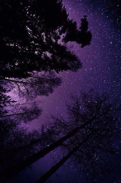 violettweets_'s tweet image. purple night sky.