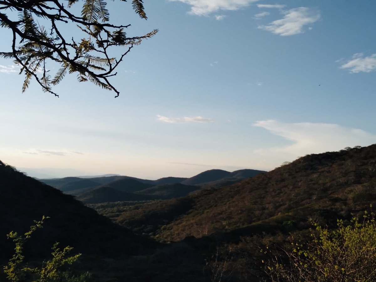 tdresearchlab's tweet photo. We are excited to be in México, visiting the first Biosphere Reserve co-managed with local communities in Morelos. Thank you to our host, #CIByC #UAEM UAEM and to our sponsor @IAI_news ... We will keep you posted! - @HTurra @LHousePeters https://t.co/amoHUNwrDT