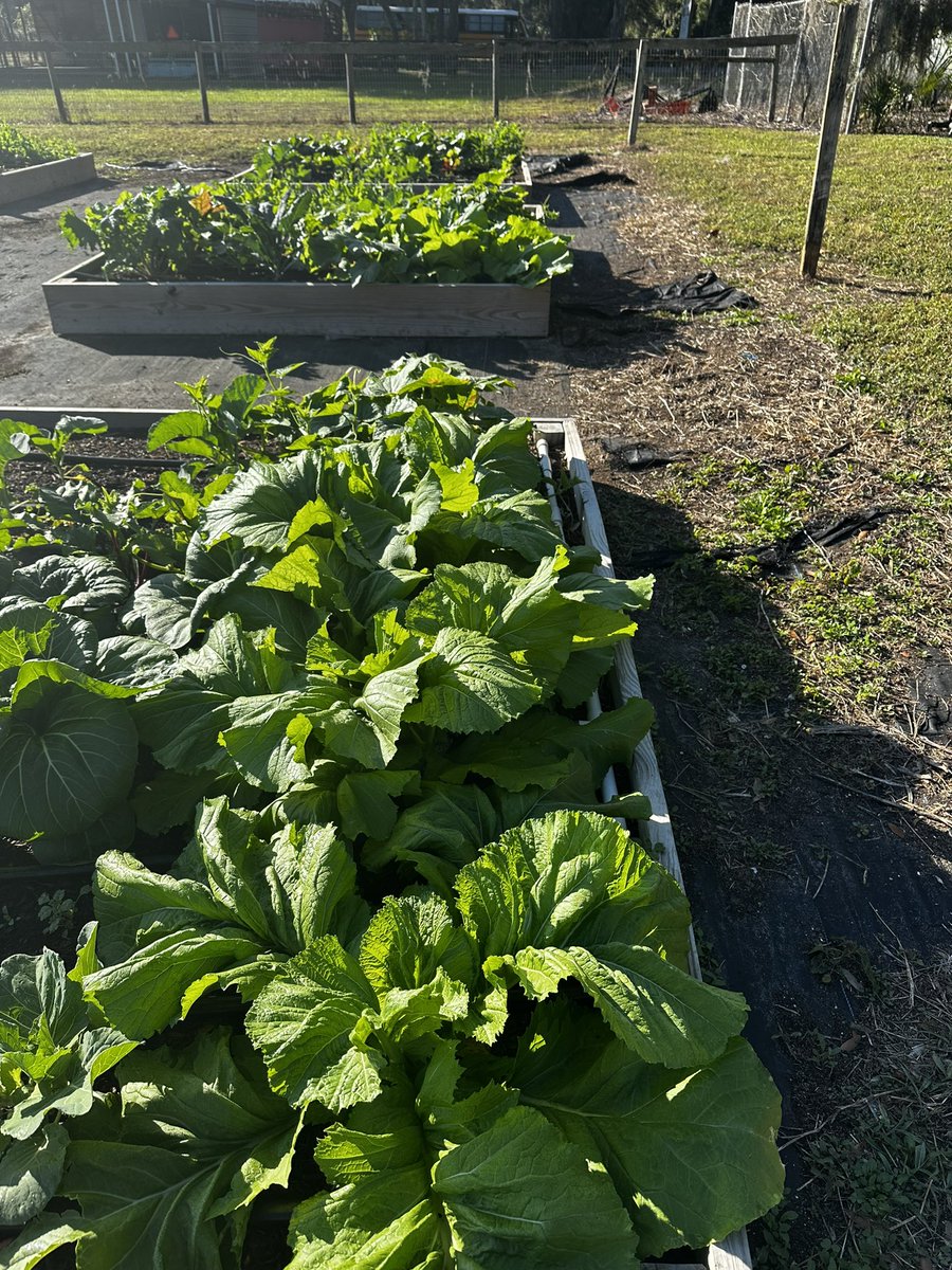 Christopher Roy tweet media