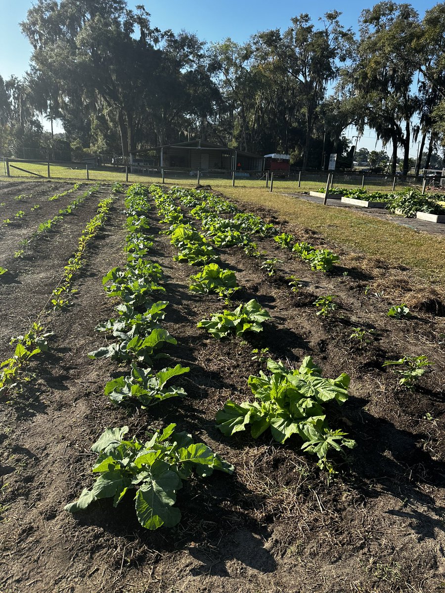 Christopher Roy tweet media