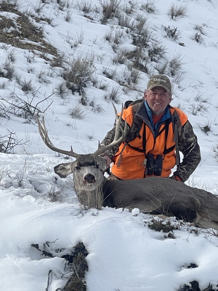 Pulled out a last day buck in snowy Montana #hunting #muledeer #bigdeertv