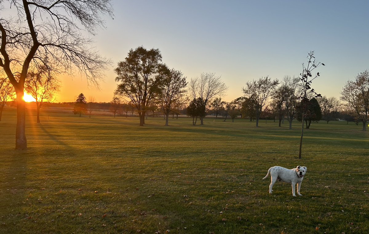 pucksHH's tweet photo. Max is out chasing squirrels ๐ฟ๏ธ and sunsets ๐
#everyonelovesmax #golflife #fallevenings https://t.co/RquGi07UZM
