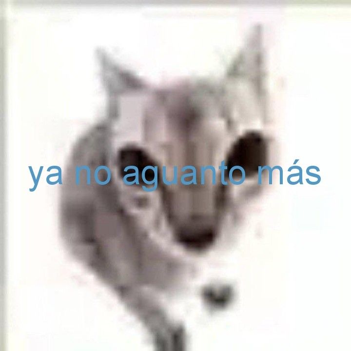 ME VOY A MATAR CERRE AL ALL ACCCES POR ACCIDENTE F U2V48U'BI}B}RGJQBJI'E'J JIDI3'2UHI QWOLE33OI