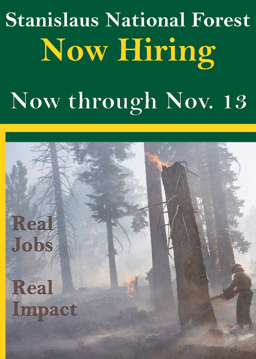 Looking for a temporary position? 2024 non-fire seasonal jobs open today! Learn more: tinyurl.com/45w5tfrn
Physical Science Techs, Archeology, Visitor Services, Recreation and more!10/26/2023
11/13/2023
Temporary
Locations vary 
Apply through USAjobs.gov