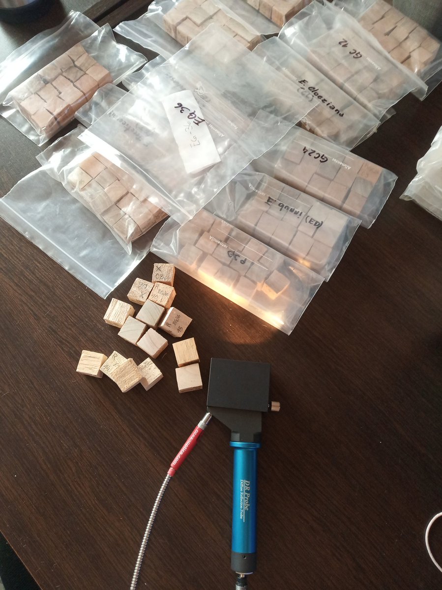 María Elena Fernández (@tatafernandez73) on Twitter photo Días de capacitación en el uso y análisis de espectros #NIRS. Gracias, <a href="/ajbarotto/">Forestal de ciudad ⭐⭐⭐</a>, por compartirnos tus saberes en esta técnica, que esperamos aplicar para la medición rápida de caracteres de madera y otros tejidos.🌲🌳
#portableNIRS #phenotyping
<a href="/INTAtandilCM/">INTATandil</a> Días de capacitación en el uso y análisis de espectros #NIRS. Gracias, <a href="/ajbarotto/">Forestal de ciudad ⭐⭐⭐</a>, por compartirnos tus saberes en esta técnica, que esperamos aplicar para la medición rápida de caracteres de madera y otros tejidos.🌲🌳
#portableNIRS #phenotyping
<a href="/INTAtandilCM/">INTATandil</a>
