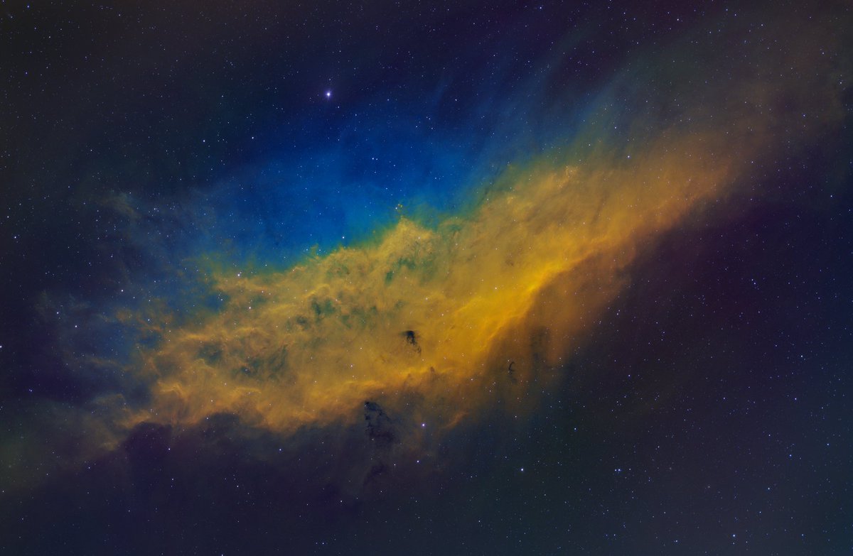 Took me 3 weeks to get enough clear skies for this image. Approximately 18 hours on the rasa- The awesome California Nebula. When the world seems to have gone completely mad, I’m glad to be able to look to the heavens. #Astrophotography
