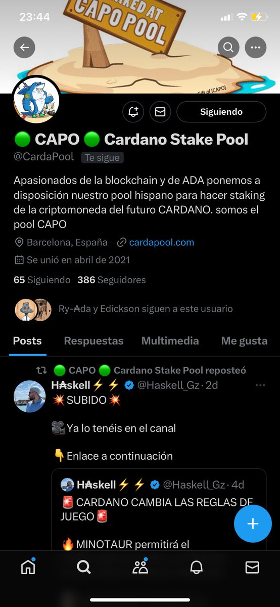 Cryptopiineapple🍍 tweet media