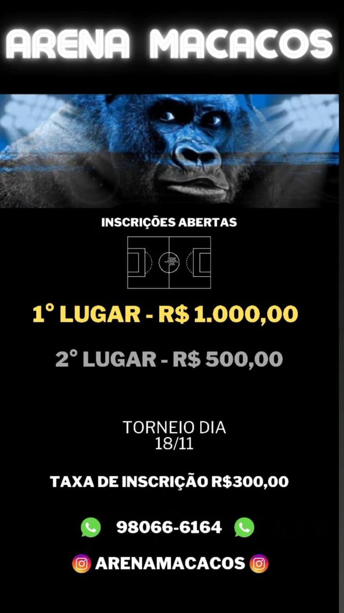 Arena Macacos tweet media