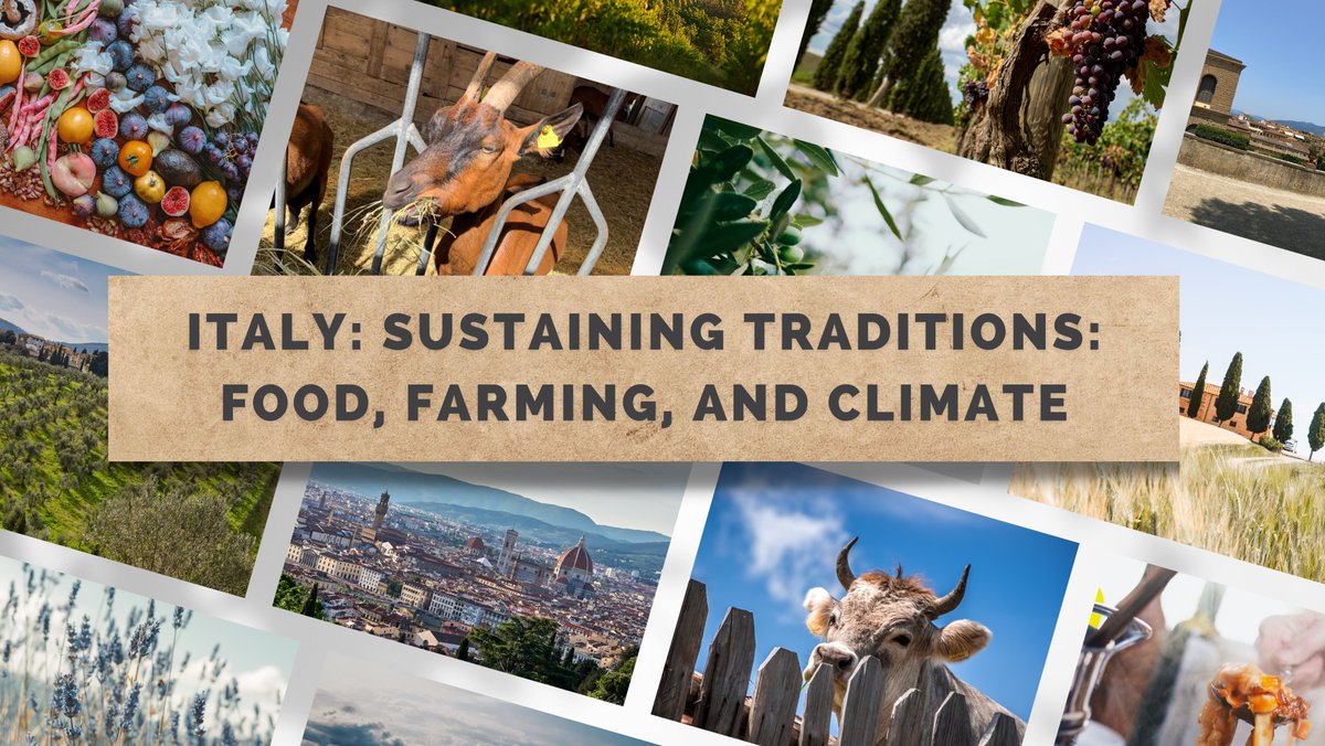 Get ready for an epic learning and culinary adventure! @thesfs is thrilled to unveil 'Sustaining Traditions: Food, Farming, and Climate,' our newest program launching in the picturesque Tuscan town of Greve this fall. Applications for Fall 2024 are now open!