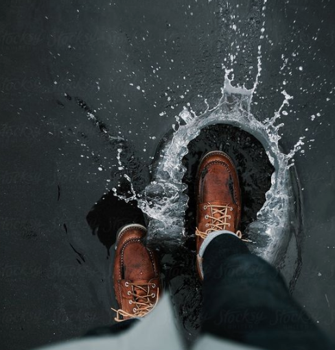 LoneWolf tweet media