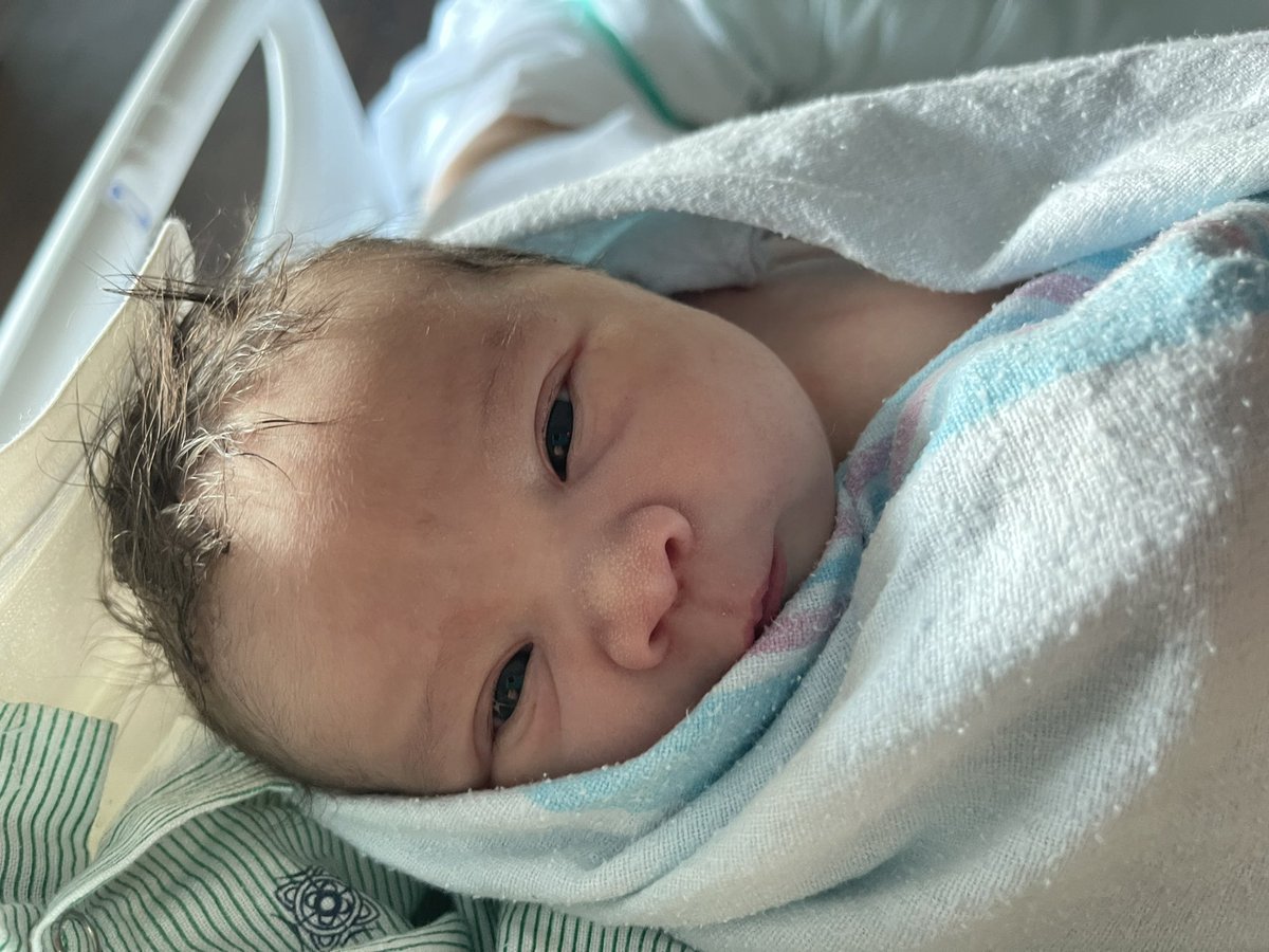 MrsPH0ENiX tweet media