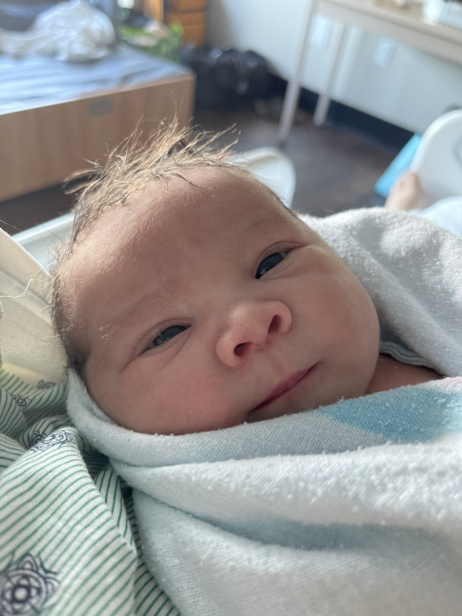 MrsPH0ENiX tweet media