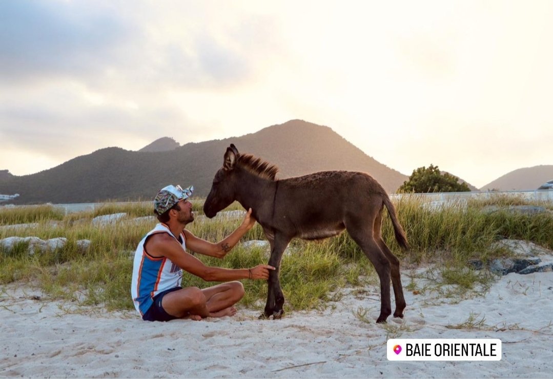 writebikerepeat's tweet photo. Sincerely hope you've all had better days than me, but if yours has been crap too, may I present the small ray of hope that is Thibaut Pinot with a donkey? 🥺

📷 Thibaut Pinot instagram https://t.co/GUaUSVJEYd
