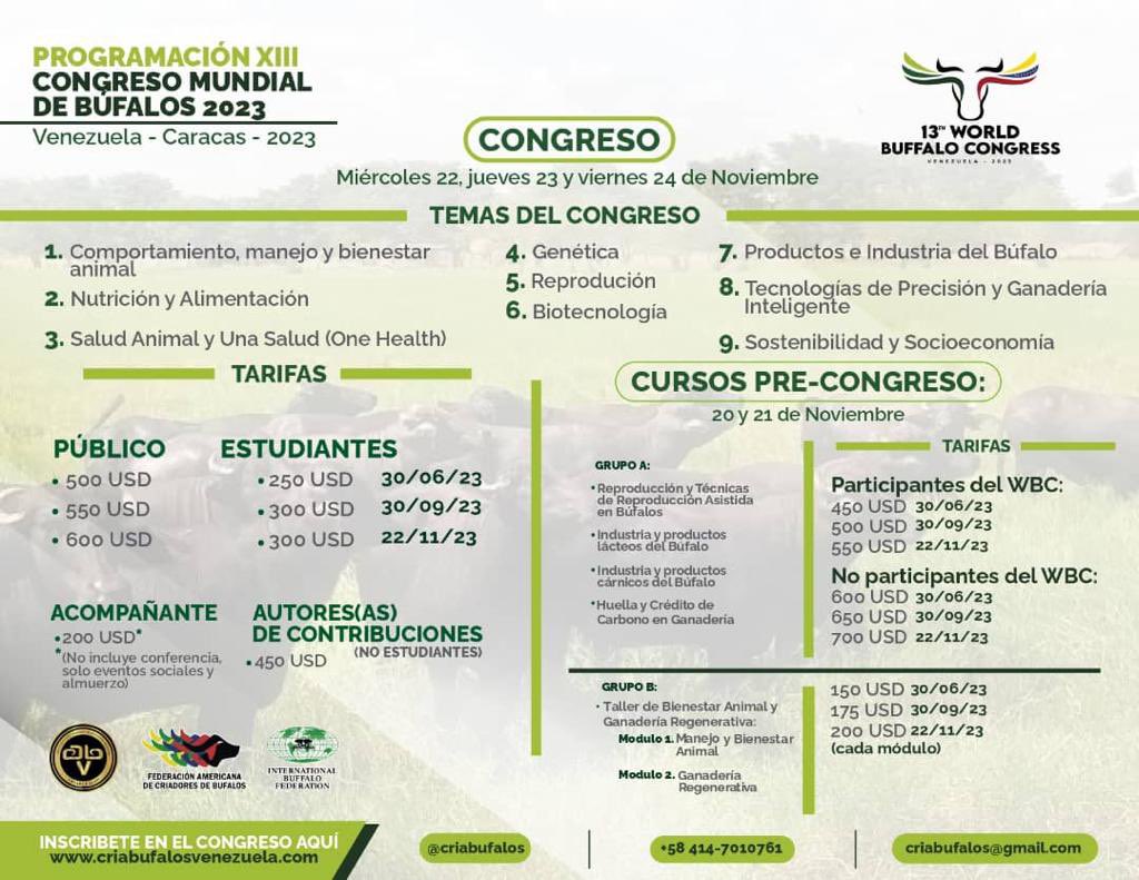 Asobufalos tweet media
