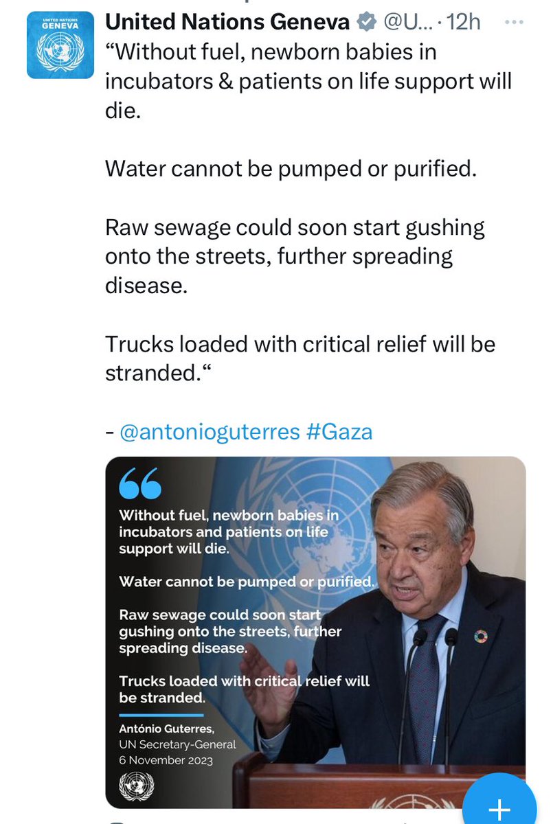 martinplaut's tweet photo. Great that the UN Secretary General speaks out so passionately about the Palestinians every day.  Some 10,000 have died since Hamas killed 1,400 Israelis. 
But where were the daily protests by Guterres while over 300,000 Tigrayans were killed, day by day? https://t.co/sKfnw8LnEp