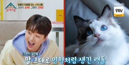 leeek3371's tweet photo. #이찬원
#옥탑방의문제아들_이찬원
#멋짐폭발_이찬원
@ChanWonOfficial
이찬원, 냥 전문가가 인정한 '랙돌' 미모..＂귀여운 것만 닮아＂[옥문아][별별TV] (출처 : 스타뉴스 | 네이버 TV연예) https://t.co/O4q5emyBvk https://t.co/5rtSRmH3t8