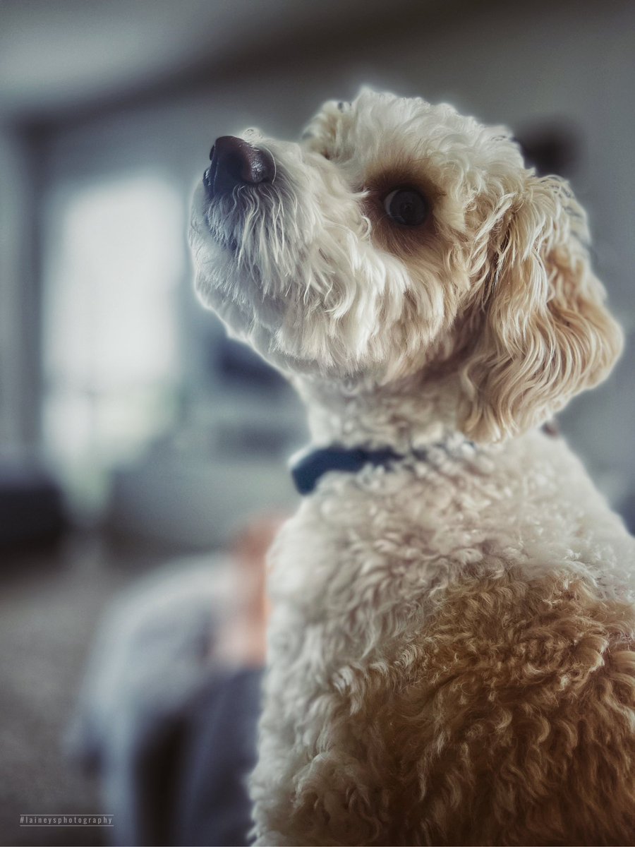 Lainey 🌻 tweet media