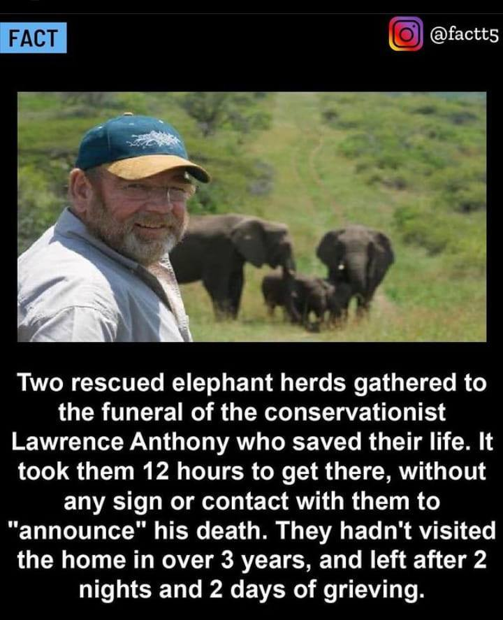 Edward Elderman tweet media