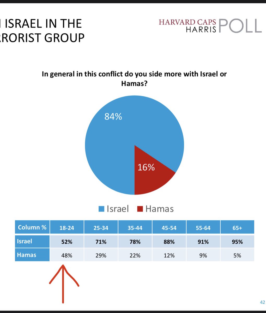 Gen Z is so fucking stupid man. That’s support for Hamas btw, not Palestine.