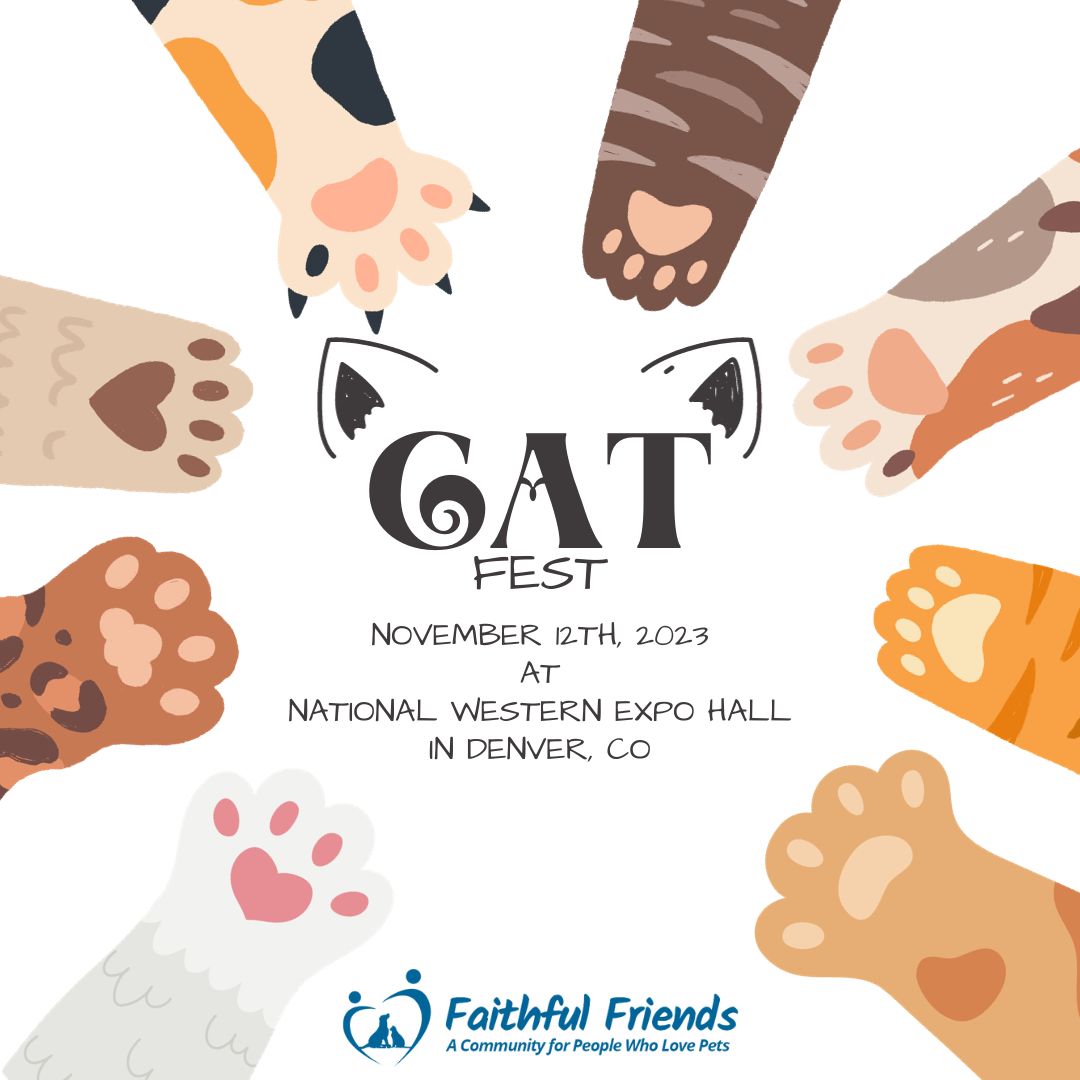 Join us at Cat Fest in Denver this Sunday, November 12th! 🐱 We are ready to celebrate our feline friends and their loving companions. Don't miss out on the purr-fect day of fun and furry festivities! Learn more at buff.ly/3Rvdxkq. 😺 #CatFestDenver #FaithfulFriends