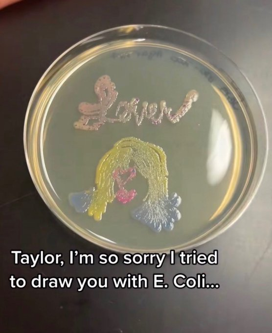 Interesting As Fuck (@interesting_ail) on Twitter photo 