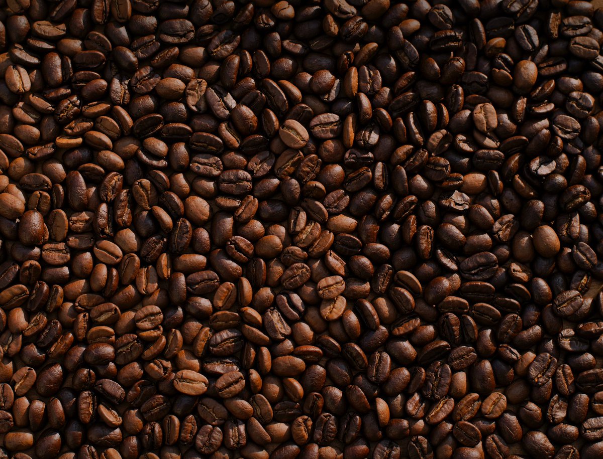 brewing_monkey's tweet photo. Every great day starts here, in the heart of a coffee bean. Here's to the magic in each brew. ☕️ #CoffeeLifestyle https://t.co/cSI0kE3RN1