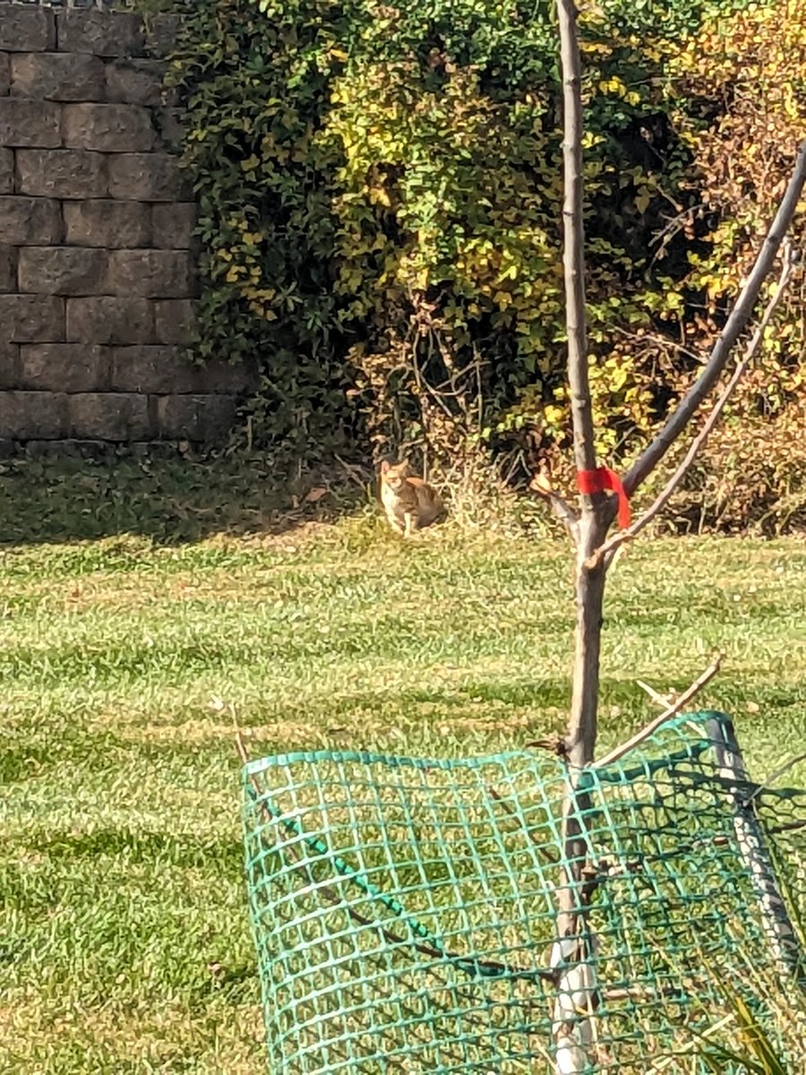 GlassGotClass tweet media