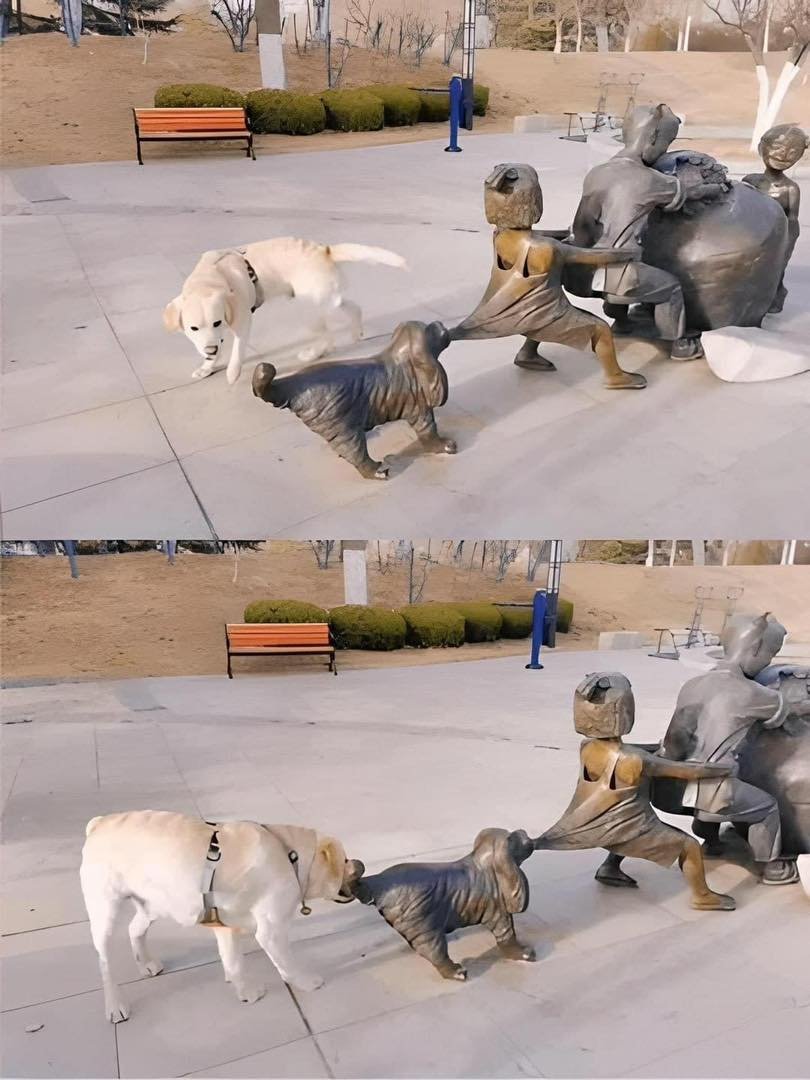 This Make Your Day tweet media