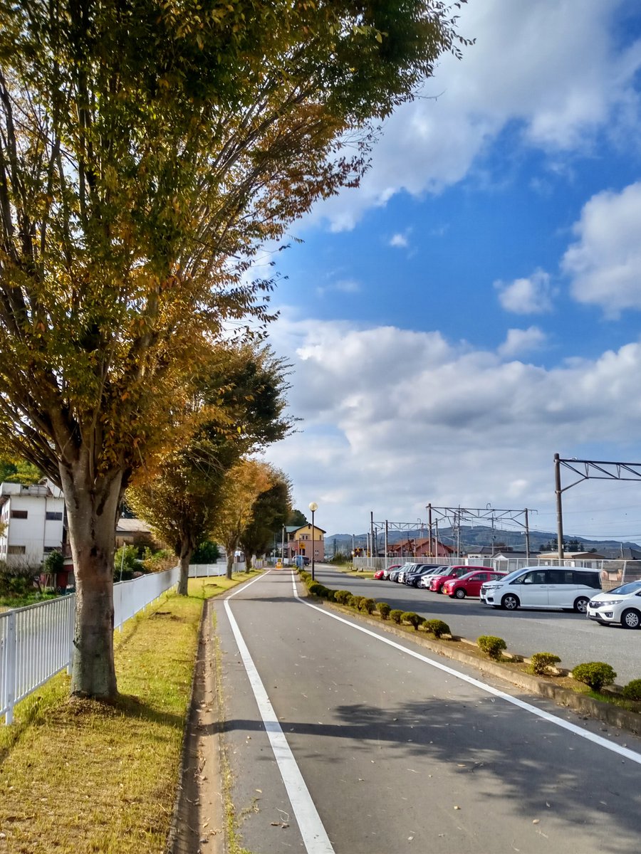 筑波鉄道跡を利用した自転車道・つくばりんりんロード。
その北端の岩瀬駅に到着でございま