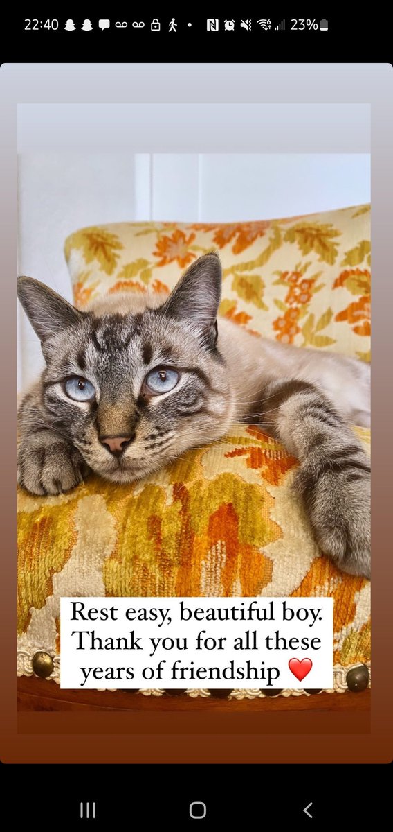 Tw// pet loss 

I'm gonna k ms