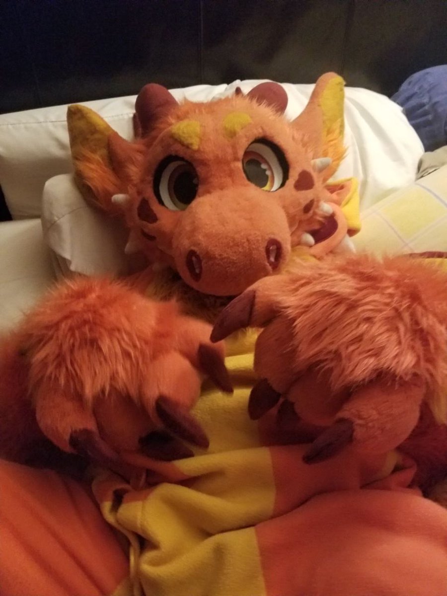 DRAZ 🐲 tweet media