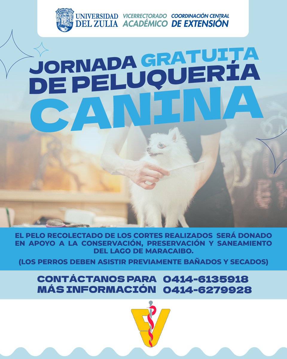 CCELUZ's tweet photo. @CCELUZ también ofrecerá a la comunidad en general 🐶JORNADA GRATUITA DE PELUQUERÍA CANINA:
📆FECHA: 13/11/2023
📌LUGAR: Plazoleta Edificio Rectorado LUZ
🕣HORA: 8:30am a 12m
Atendidos por los profesionales de la @fcvluz especializados en higiene y estética de mascotas. Cont.🧵▶️ https://t.co/rQO5FWMrBY