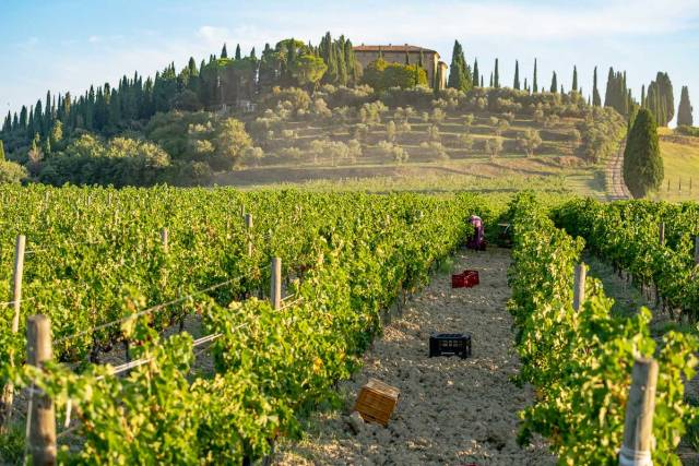 zazoomblog's tweet image. Storia agricola di una tenuta plurisecolare - #Storia #agricola #tenuta zazoom.it/2023-11-09/sto…