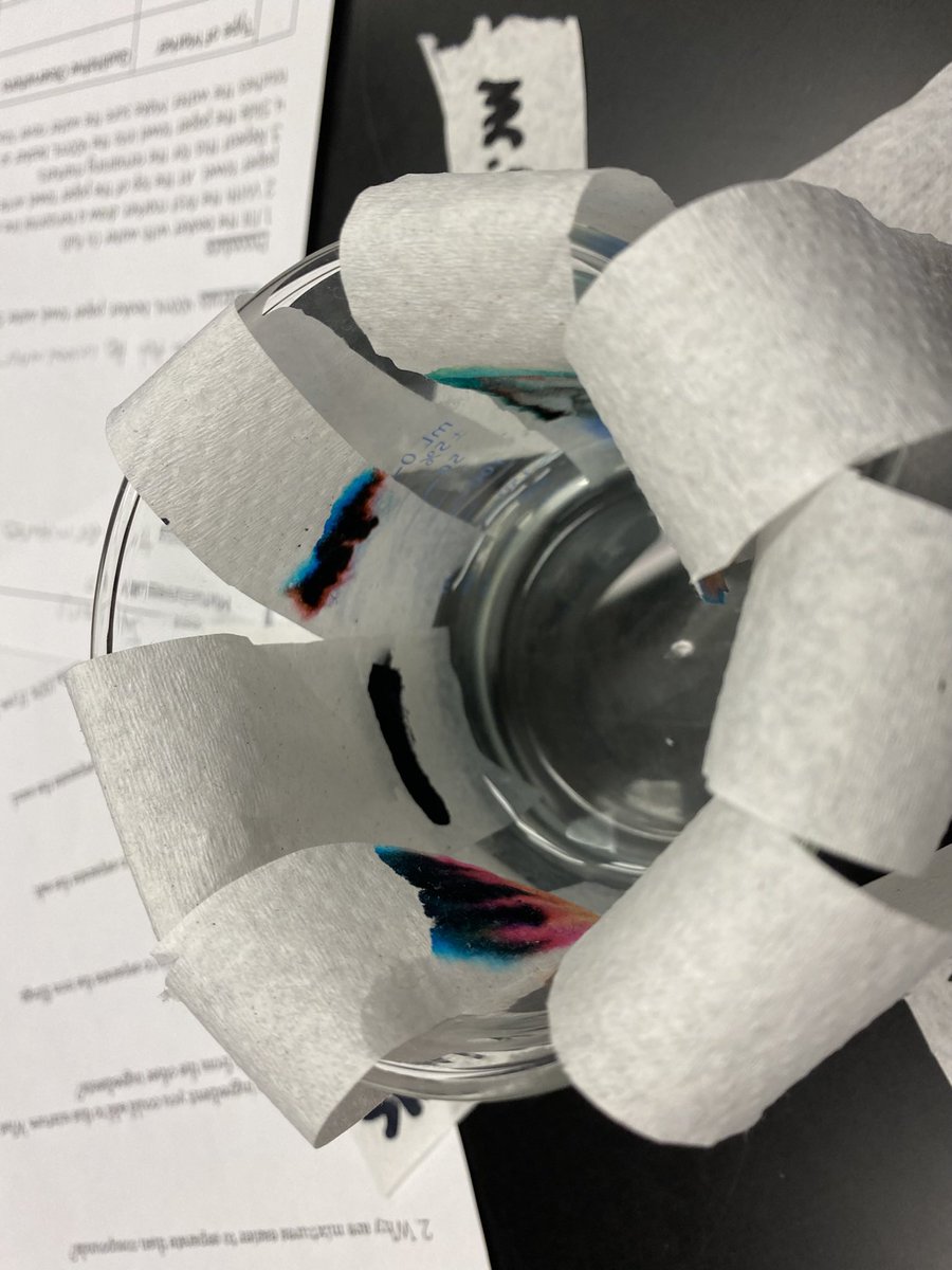 MrsPasz's tweet photo. Separating mixtures with chromatography. @Cass63tweets  #8thgradescience https://t.co/JBJ8UZ1NvH