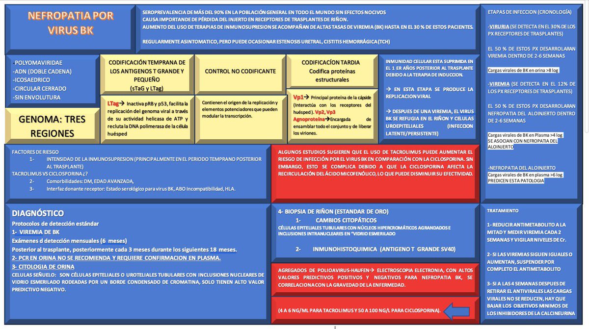 aczinobacter's tweet photo. ⭐️⭐️⭐️Nefropatía por Virus BK⭐️⭐️

Seroprevalencia bastante elevada, Considerar vigilar viremias en el primer año postrasplante renal

Resumen de estas dos revisiones.

https://t.co/X9G9Qrh2eZ
https://t.co/KMN5r9TSJO

#infectologia #medicinainterna #HCFAA #Medicina #nefrologia https://t.co/HEncLp6Pmt