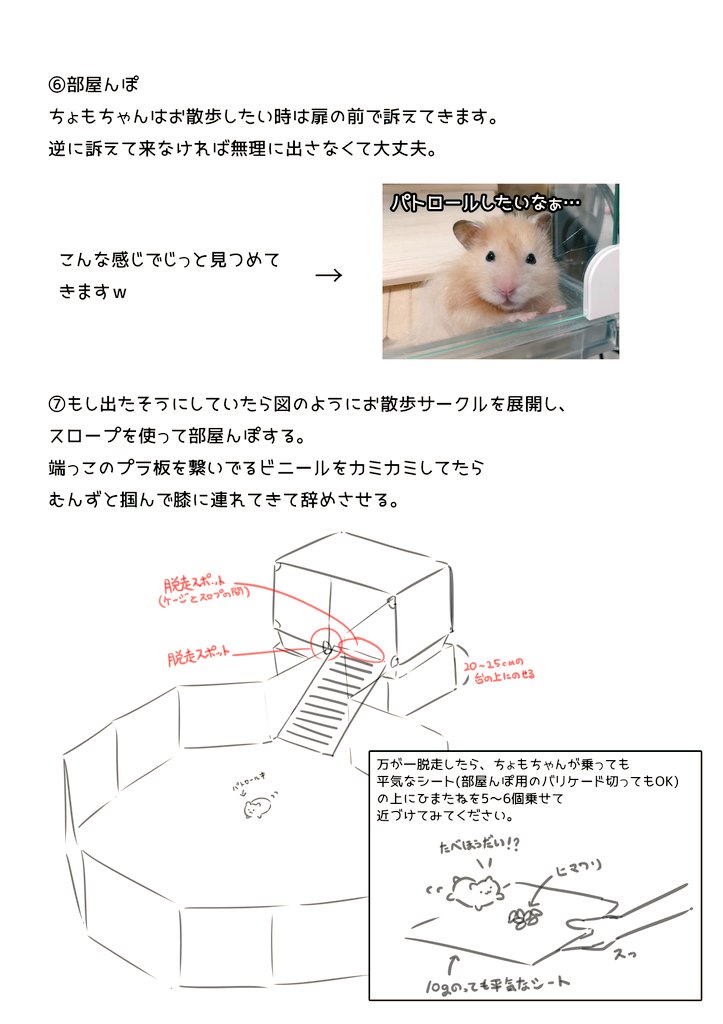 家族に旅行中ハムスターお願いするからお世話シート作った。