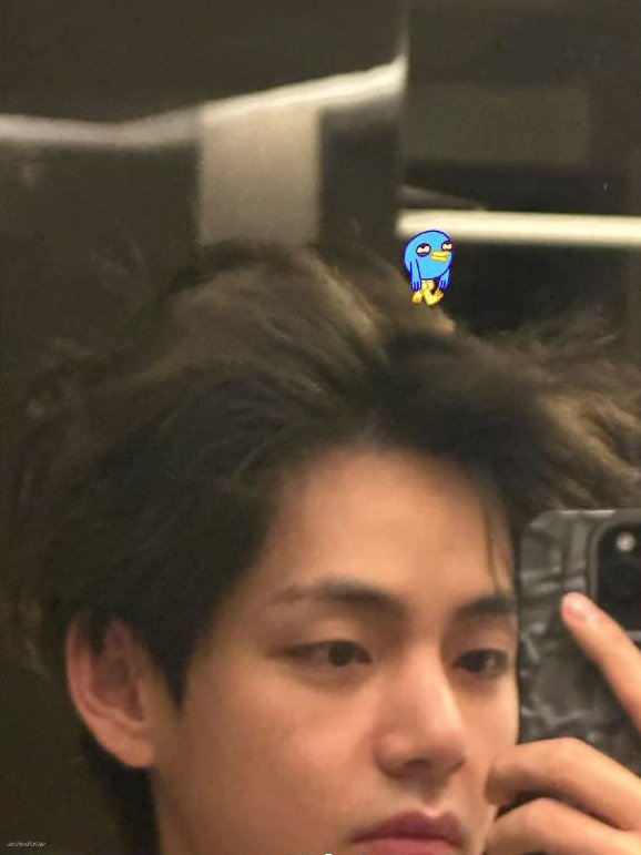archivefortae tweet picture