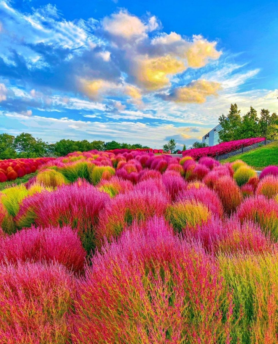 ✨♓Pisces♓✨ tweet media