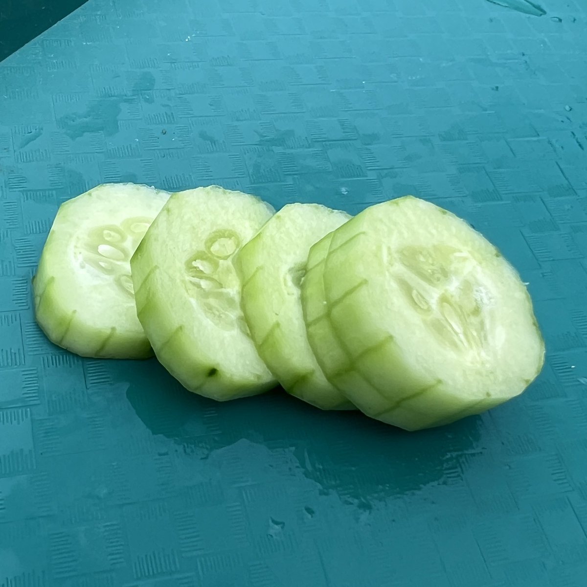Kristian Fuentes (@kris_fuentes4) on Twitter photo Today in garden club, students tried fresh cucumbers picked straight from our garden. <a href="/NISDMeadowVill/">Meadow Village ES</a> Today in garden club, students tried fresh cucumbers picked straight from our garden. <a href="/NISDMeadowVill/">Meadow Village ES</a>