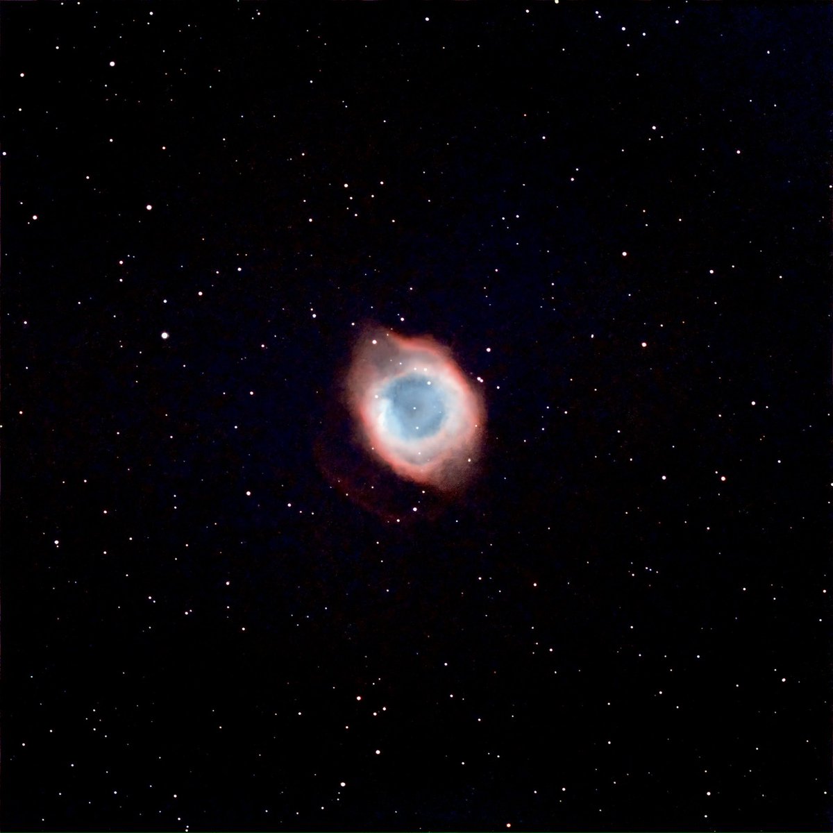 kunino0606's tweet photo. 我が家の南天は重い鏡筒だと制限が多いので撮影しやすい #ngc7293 #らせん星雲 を撮影してみました。
とは言えほぼ満月の頃のものです。
せっかくの #ff80apo と #lUltimate なので南天でも撮りたかったのです。
例のチェーンメールの #神の目 ですね(笑)
短時間ですが過去一キレイに撮れました。 https://t.co/40RWcafRyG